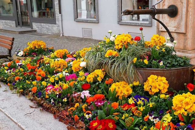 Vorbild fr Schopfheim? Bepflanzte Brunnen in Bad Sckingen.  | Foto: Michael Gottstein