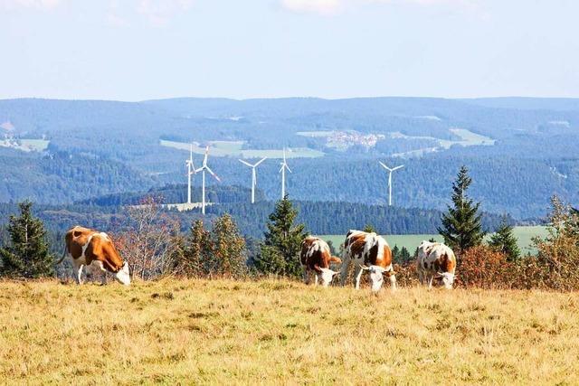 Gemeinderat Waldkirch gegen neuen Teilflchennutzungsplan zur Windkraft