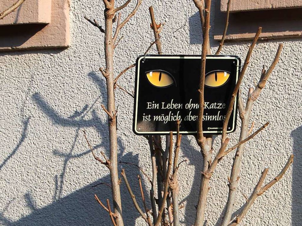 Die kleinen schönen Dinge im Alltag fi...Spotting funktioniert auch in Freiburg  | Foto: Maya Schulz