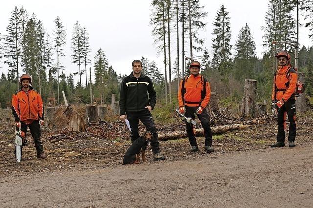 Ziel ist ein klimastabiler Wald