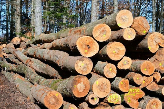 Wie soll sich der Wald in den Jahren b...igte sich der Gemeinderat Bollschweil.  | Foto: Gabriele Hennicke