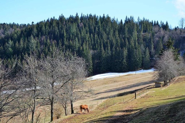 Auf dem hchsten Punkt des Winterbergs...heit die verschwundene Burg Ebersbach.  | Foto: Friedbert Zapf