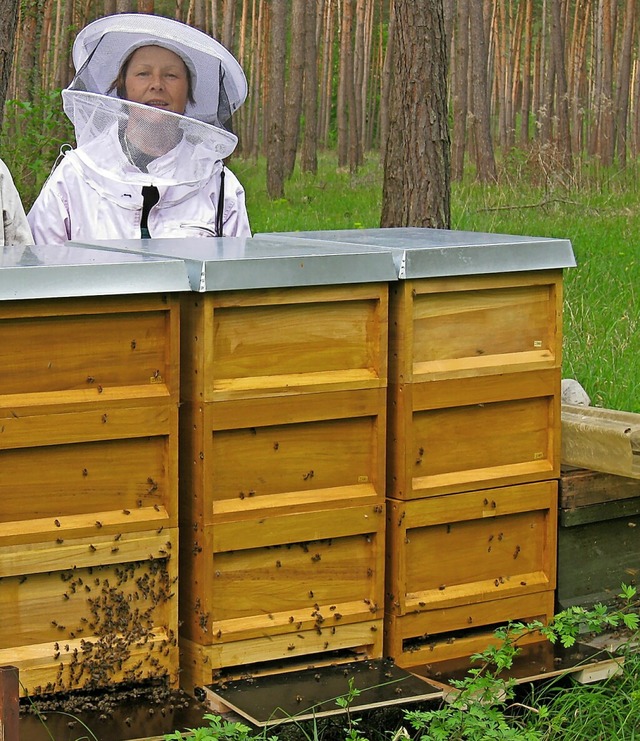 Leopoldine Steindl guckt in Imker-Schutzkleidung nach ihren Bienen.  | Foto: privat