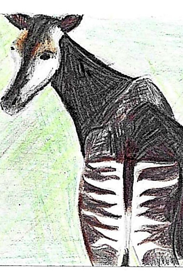 So sieht ein Okapi aus. Leonie Dietsch...rem Artikel, gleich noch eines gemalt.  | Foto: privat