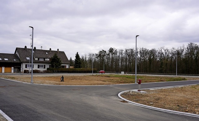 Das neue Baugebiet &#8222;Homburg&#822...milienhuser verkauft werden sollen.    | Foto: Gerard, Roland