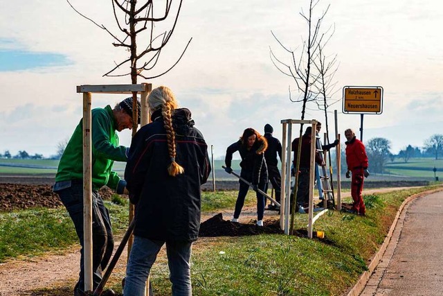 Viele Helfer waren dabei bei der Baumpflanzaktion in March.  | Foto: Hubert Gemmert