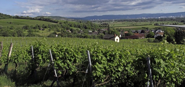 Wieviel Sdschwarzwald steckt im Markg...Bad Bellinger Gemeinderat diskutiert.   | Foto: Jutta Schtz