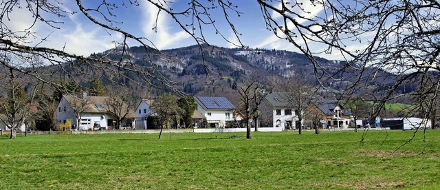 Im Areal Gern-Dellen IV am sdlichen O... oder Doppelhuser geschaffen werden.   | Foto: Paul Eischet