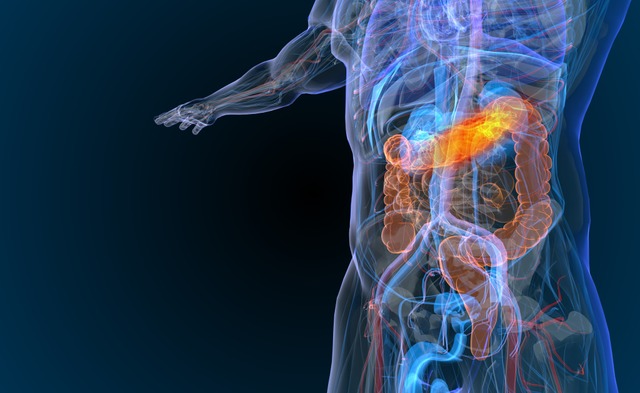 Die Hufigkeit von Darmkrebs bei den B...in den letzten 25 Jahren verdreifacht.  | Foto: appledesign (stock.adobe.com)