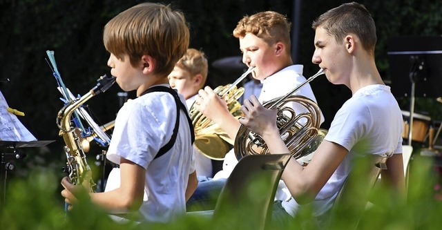 Das Jugendorchester im Juli 2020  bei der Sommerserenade im Rosenfelspark   | Foto: Barbara Ruda