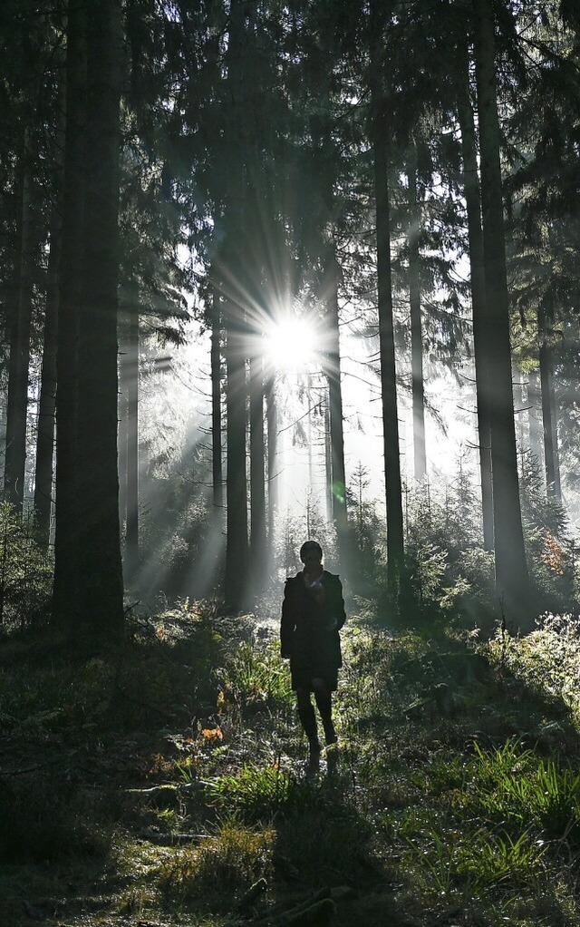 Der  Wald speichert Treibhausgase.  | Foto: Arne Dedert (dpa)