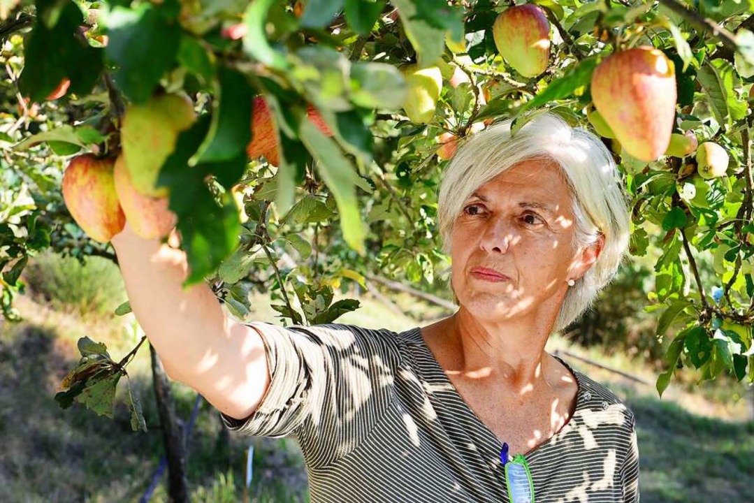 &#8222;Es ist ein Wettlauf gegen die Z...abella Dalla Ragione, Obstarchologin   | Foto: -