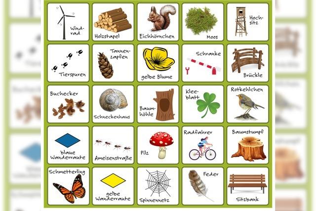 Wer findet Moos, Bank, Raute oder Pilz? Unser Wald- und Wander-Bingo fr Kinder