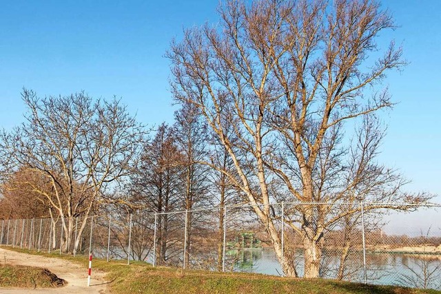 In diesem Jahr kann der Badebetrieb am Wyhler Baggersee vorerst weitergehen.  | Foto: Ruth Seitz