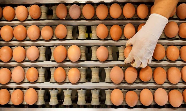 Eier aus  Betrieben, in denen die Gefl...e,  drfen nicht mehr verkauft werden.  | Foto: Julian Stratenschulte (dpa)