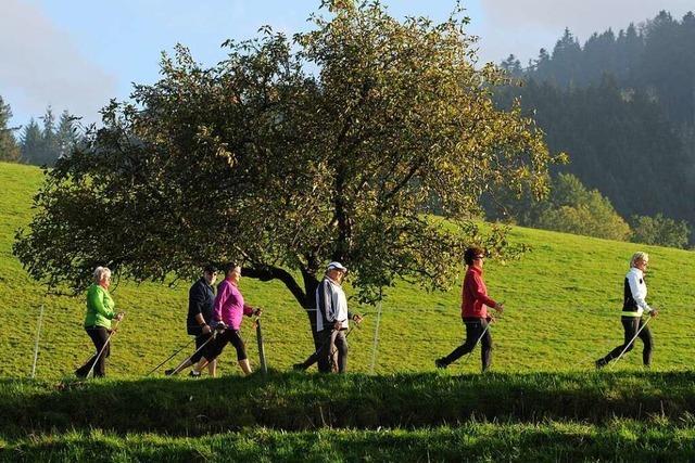 Nordic Walking ist ein gesunder Sport fr Krper und Geist