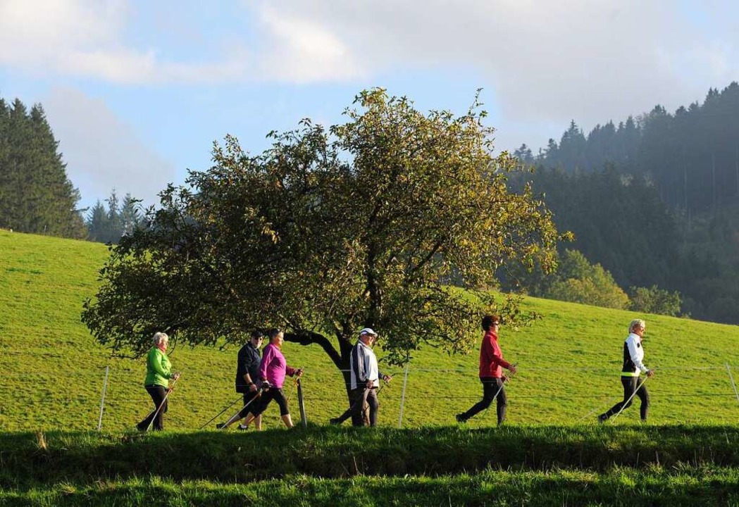 Raus aus dem Haus und ab in die Natur ... ist ein idealer Sport fr jeden Tag.   | Foto: Patrick Seeger
