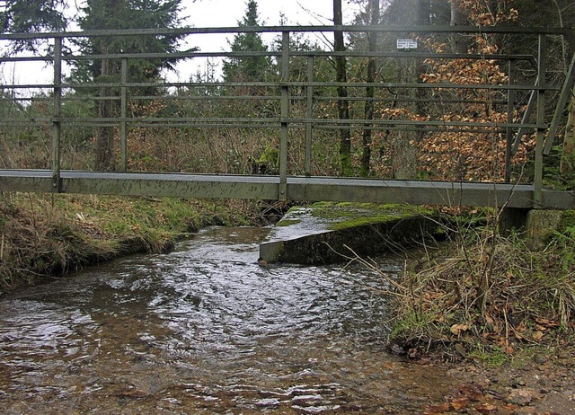 Die Hochsaler Whre   verlangt viel Pf...r  rechts die Rotzler Whre abzweigt.   | Foto: Probst