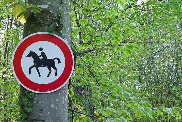 Rheinfelden wird eine Pferdesteuer nicht weiter verfolgen – derzeit