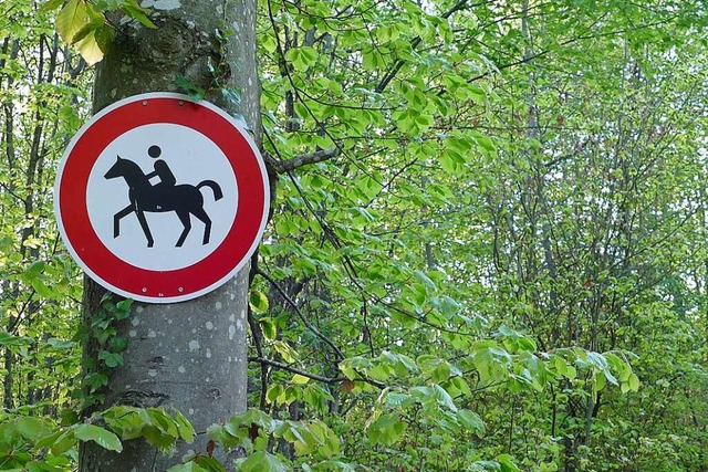 Der Forst sieht definierte Waldwege als Lsung &#8211; nicht eine Pferdesteuer.  | Foto: Victoria Langelott