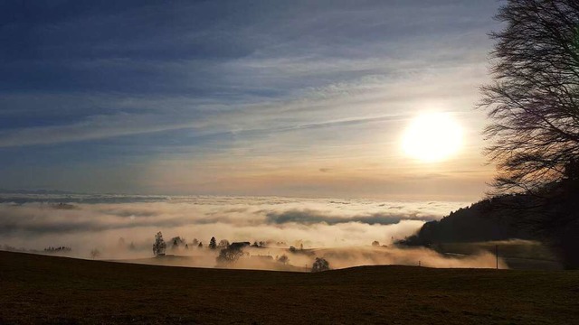 Durch die Wolken sieht man Bume und Huser.  | Foto: Martin Bhler