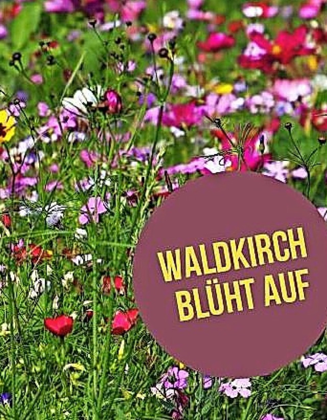 Unter diesem Motto  gibt es heute  im ... 12 bis 17 Uhr  eine Frhlingsaktion.   | Foto: Stadt Waldkirch