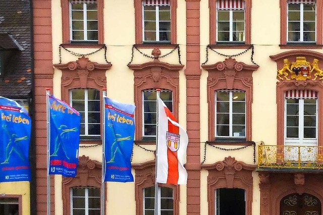 Die jhrliche Fahnenaktion &#8222;Nein...fenburger Gleichstellungsbeauftragten.  | Foto: Stadt Offenburg