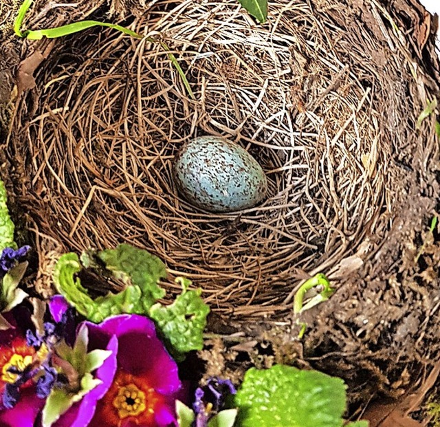 Ein erstes Ei im Nest.  | Foto: Gerhard Walser