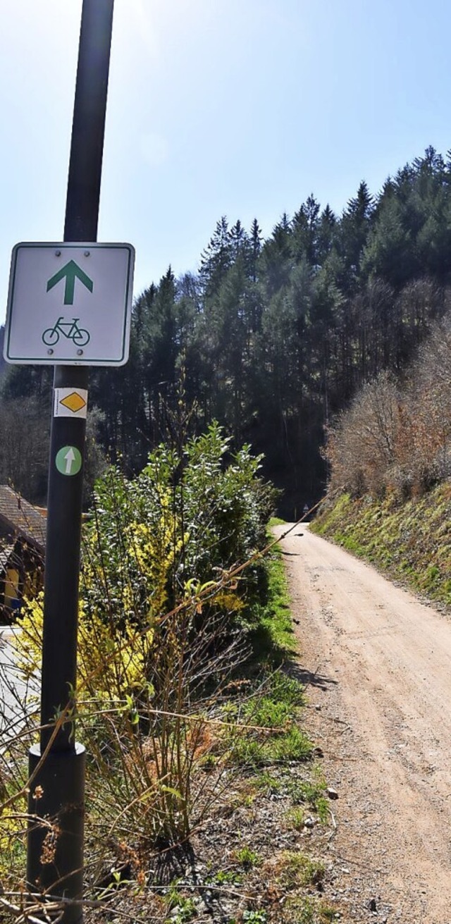 Das 135 Meter lange Teilstck des Radw... Zeller Gemarkung soll saniert werden.  | Foto: Nicolai Kapitz