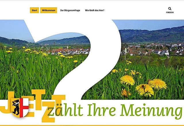 Blick auf die Startseite von kirchzartenjetzt.de  | Foto: Screenshot