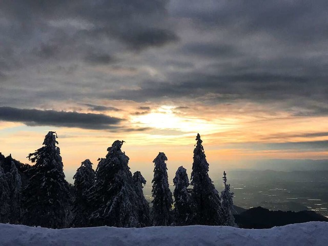 Winter auf dem Kandel  | Foto: Peter Brutigam