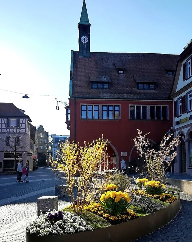 Bltenglck am Lahrer Urteilsplatz  | Foto: gudrun weber