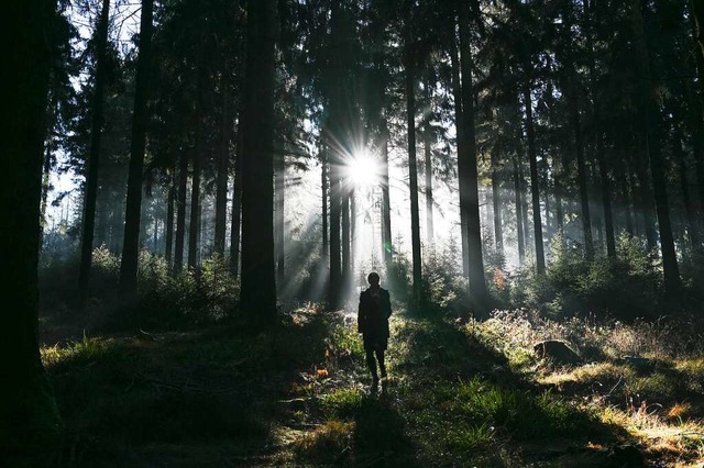 Spazieren im Wald soll entspannen &#8211; klappt leider nicht immer.  | Foto: Arne Dedert (dpa)