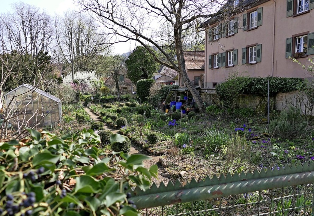 Der Bauerngarten an der Frickstraße gehört der Stadt und bleibt erhalten.  | Foto: Hans-Peter Müller