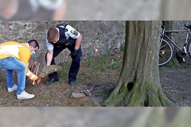 Polizei sucht Zeugen für Vandalismus an Ostern