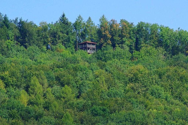 Von Herten aus gesehen liegt der Eigenturm morgens in der Sonne  | Foto: Rolf Reimann