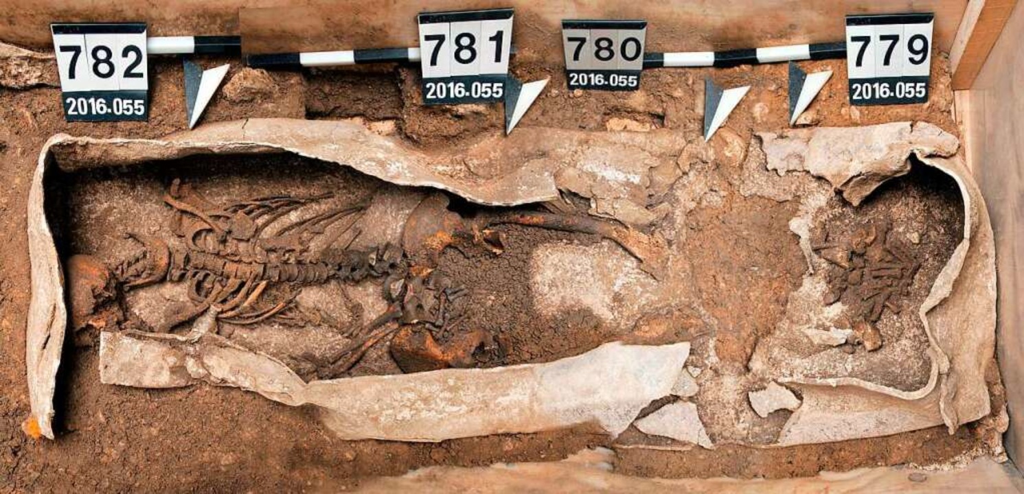 Fundstück: 1700 Jahre alter Bleisarg mit Skelett einer toten Frau.  | Foto: Corinne Hodel/Augusta Raurica
