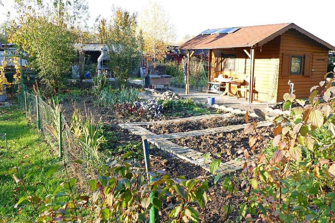 Die Stadt mchte die Kleingartenanlage...e einbinden und richtet sie dafr her.  | Foto: Susanne Ehmann