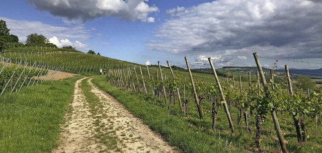 Fr Touristen, vor allem Wanderer und ...das muss auch bekannt gemacht werden.   | Foto: Jutta Schtz