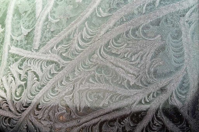 Kunst aus Eis: Eisblumen auf einer Autoscheibe  | Foto: Brbel Trefzger