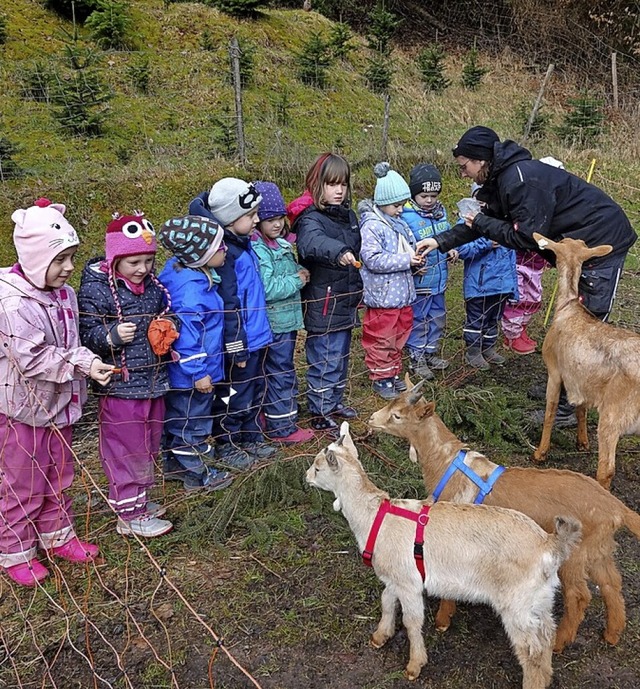 <BZ-FotoAnlauf>Kindergarten:</BZ-FotoA...rm&#8220; in Hausen tierischen Besuch.  | Foto: Klaus Brust