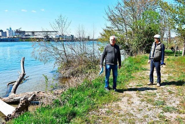 Die illegale Rodung am Rhein bei Grenzach-Wyhlen hat keine Konsequenzen