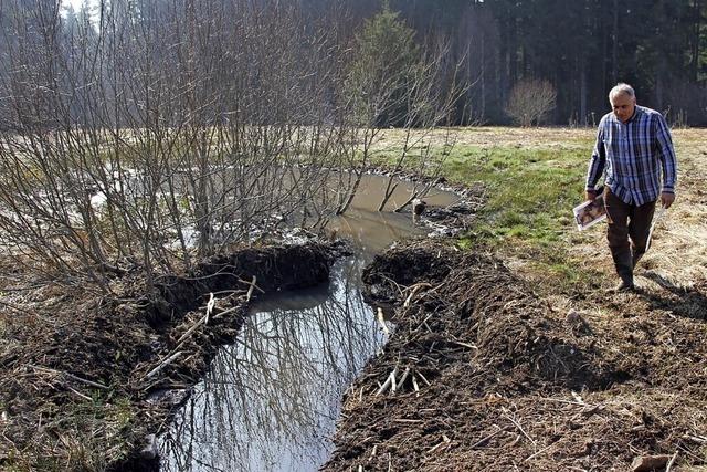 Biber leistet Naturschutzarbeit