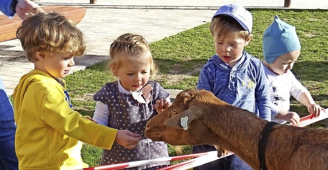 <BZ-FotoAnlauf>Hausen:</BZ-FotoAnlauf>...helzoo war im Kindergarten zu Besuch.   | Foto: Kindergarten