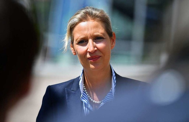 Alice Weidel  | Foto: Martin Schutt (dpa)