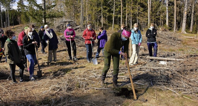 Revierfrsterin Elena Kummer zeigt den... der Setzling eingegraben werden muss.  | Foto: Stefan Pichler