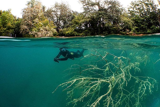 Szene aus dem Unterwasserwelten-Camp  | Foto: Unterwasserwelten