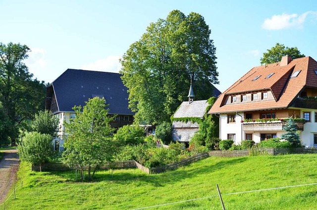 Die Linde prgt das Bild des Fallerhofs auf dem St. Mrgener  Zwerisberg.   | Foto: alexandra wehrle