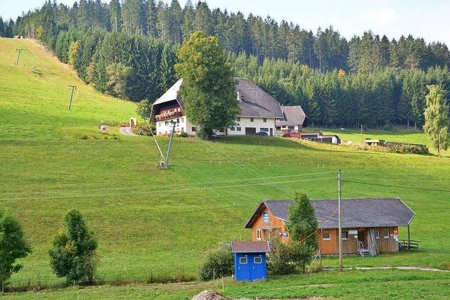 Die Linde des Waldauer Schneehofs ist seit jeher viel Trubel gewohnt