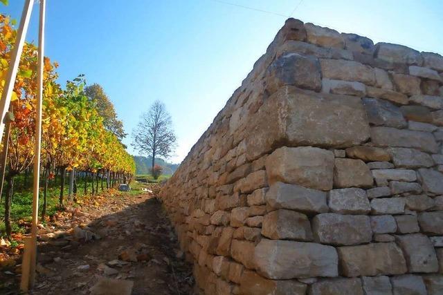 Freiburg kauft kopunkte im Britzinger Weinberg